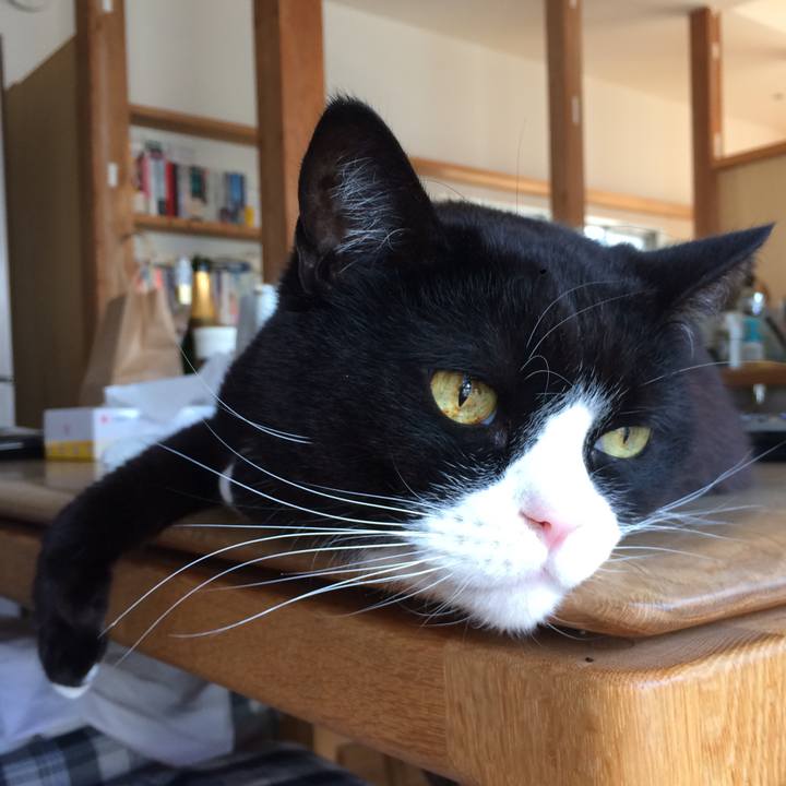 107aae38 a927 4a75 adff d113ac09fb14