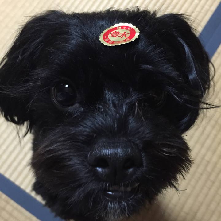 107b4c10 afba 4baa 885e d0f32f225a68