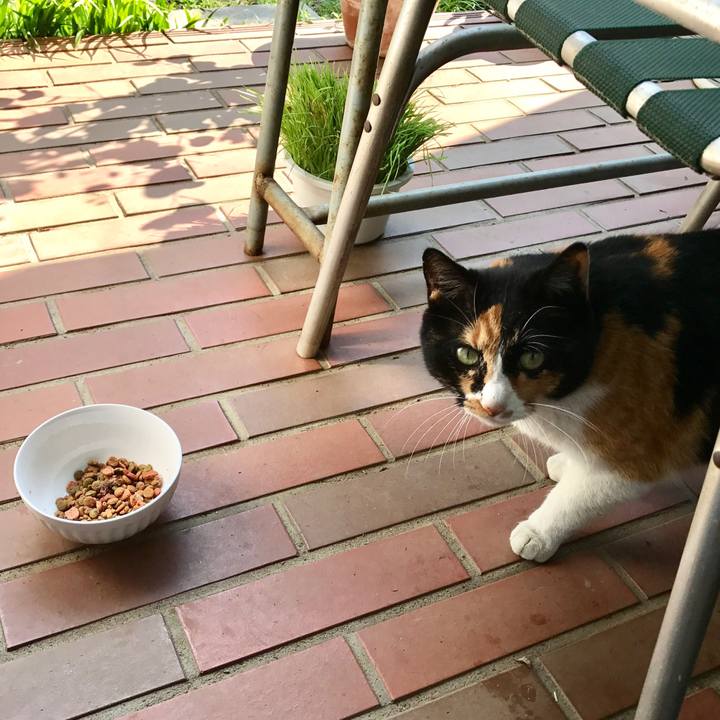 107d1dfc 0042 428e 9c59 328cd3a27e56