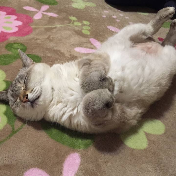 107d5d5f bb37 4263 8f49 7bece842c809