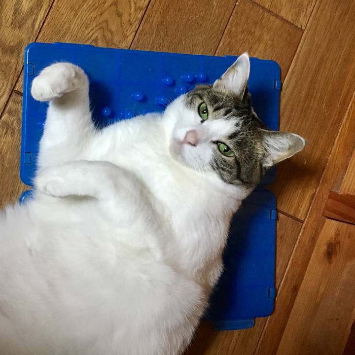 107dac29 3c63 4a05 8031 13e0b6641aaa