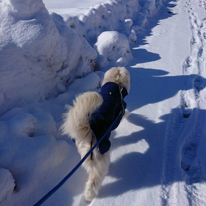 107e1378 33f9 4cb2 a35a 830e55bd96ef