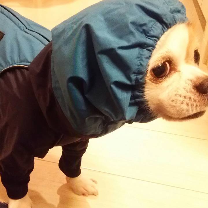 107ec105 3e6d 400c aa8a 5def7679a280