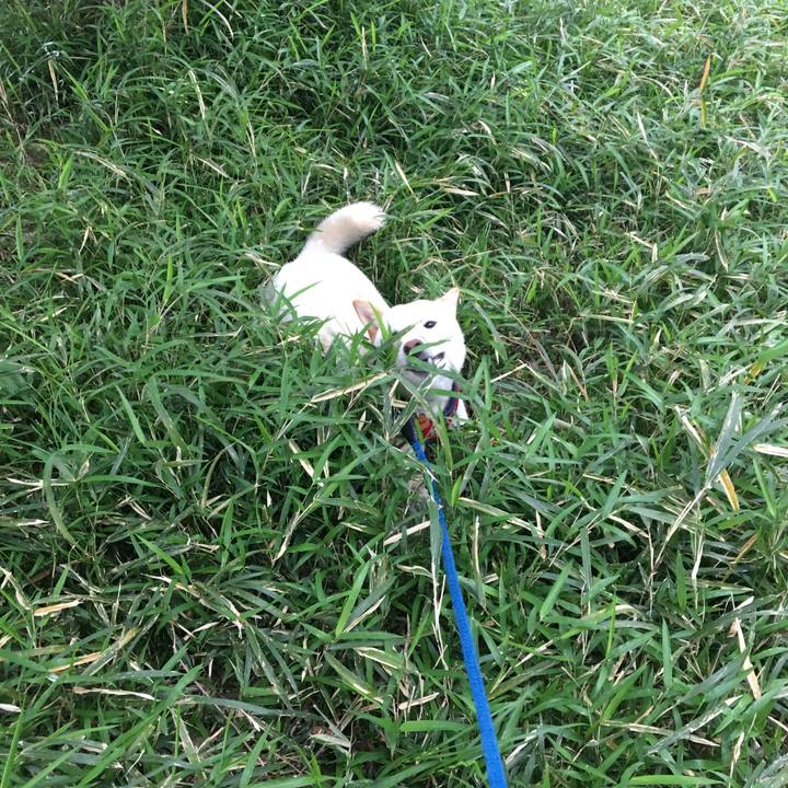 107ec393 1b27 456e 99e5 0b2a8dcd1235