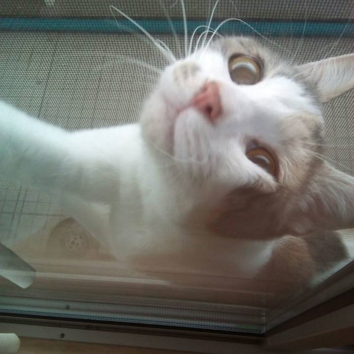 107f368d e71a 4b4d b2e9 ed04c438c078