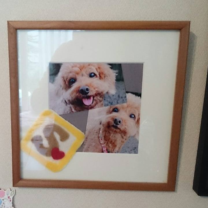 107f4acc 619e 4c4d 9074 6f3e97f474c1