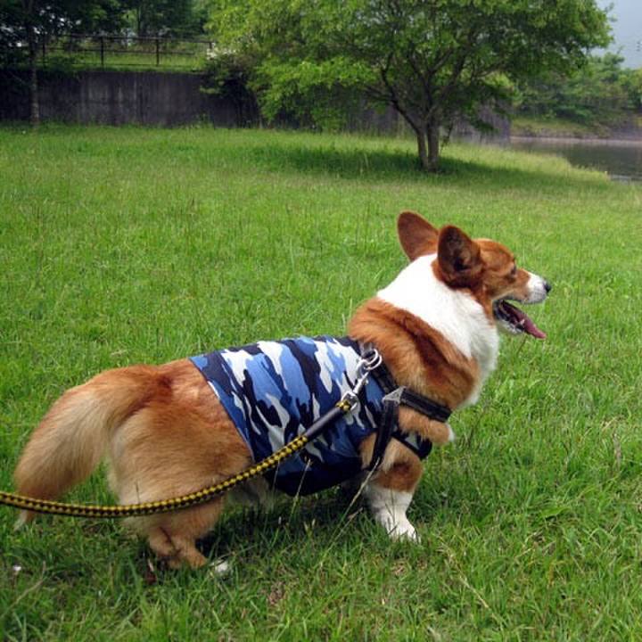 107f9130 52ec 4ea8 a56e 39151537ee94