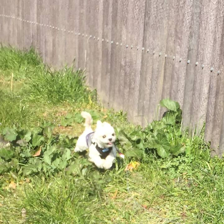 107f9cd5 1f74 4737 a101 cf0d069a9538