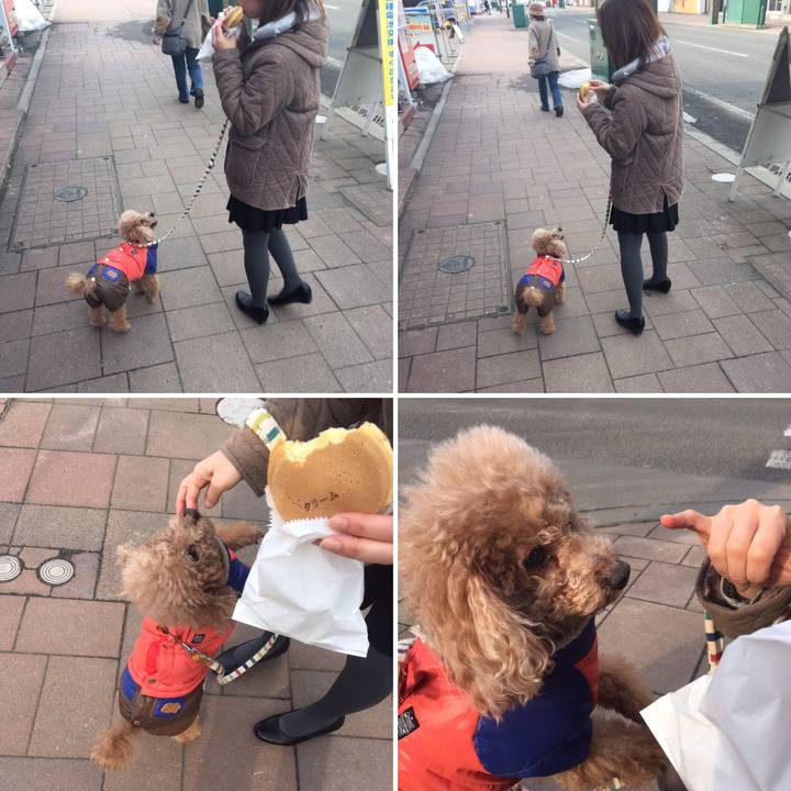 10801c93 222d 4155 8210 37a21a252f92