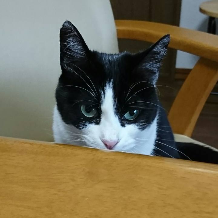 10802c74 9328 4f62 816b 4bb8f6d9fb38