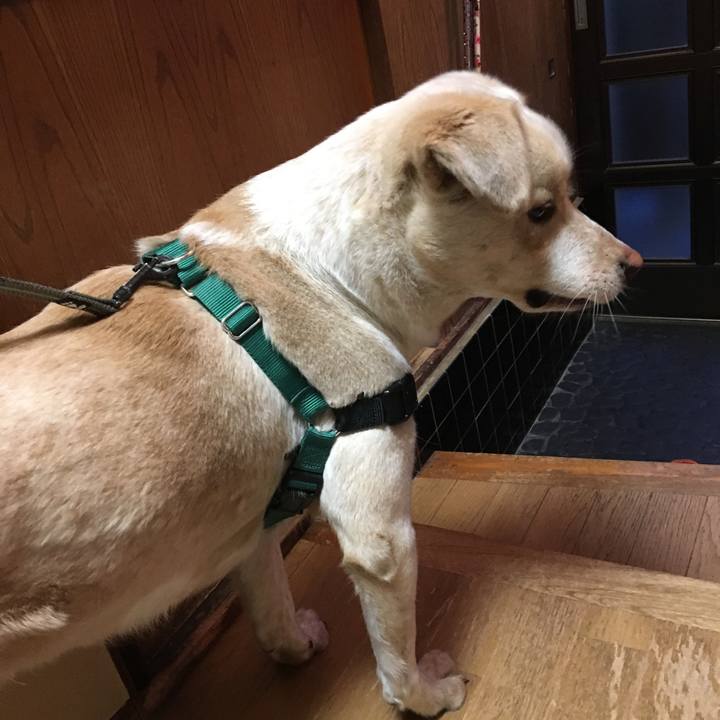 1080436c 107c 4c12 9aa8 443dedb0e0d6