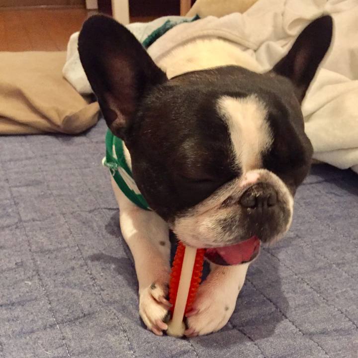 1080aed7 4c33 4003 99cd fedba1adefc9