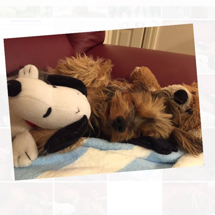 1080c8b9 95b7 47fa bb16 8fe99f36dd71