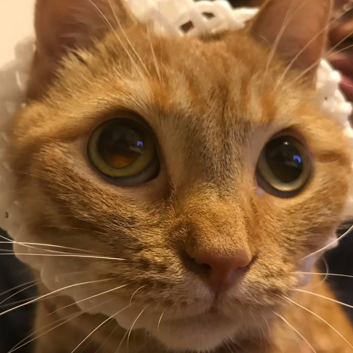 108123a0 721b 4692 92d4 5b9ab297b22f