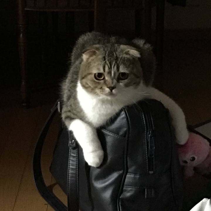 10812d17 f800 4f24 88bc 46efa855a2bb