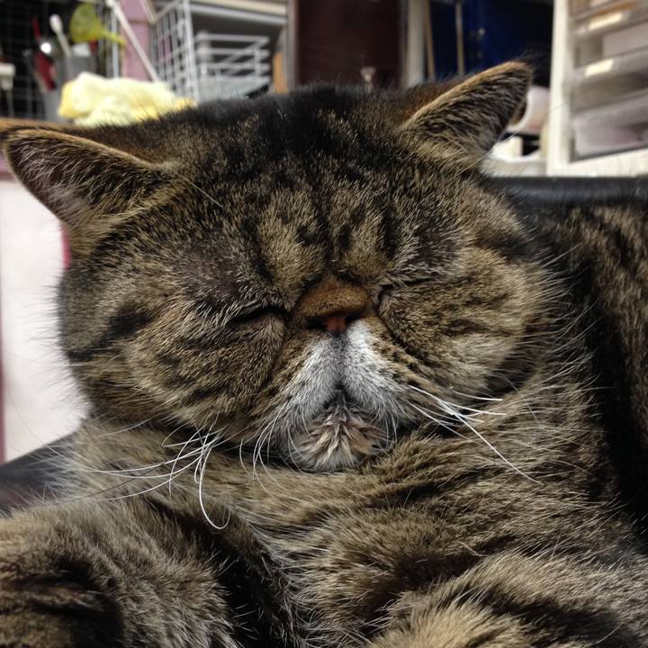 1081fa96 245e 413a a2b1 02c1d339606a