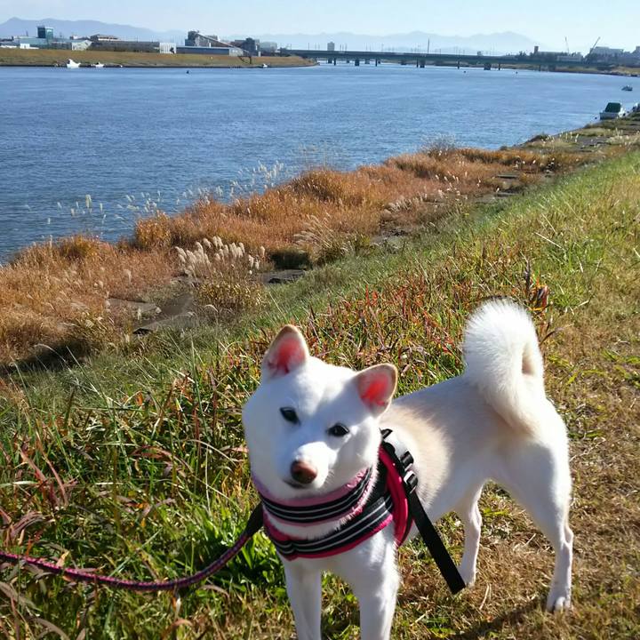 10821426 bf87 48b6 9d97 171e464803d6