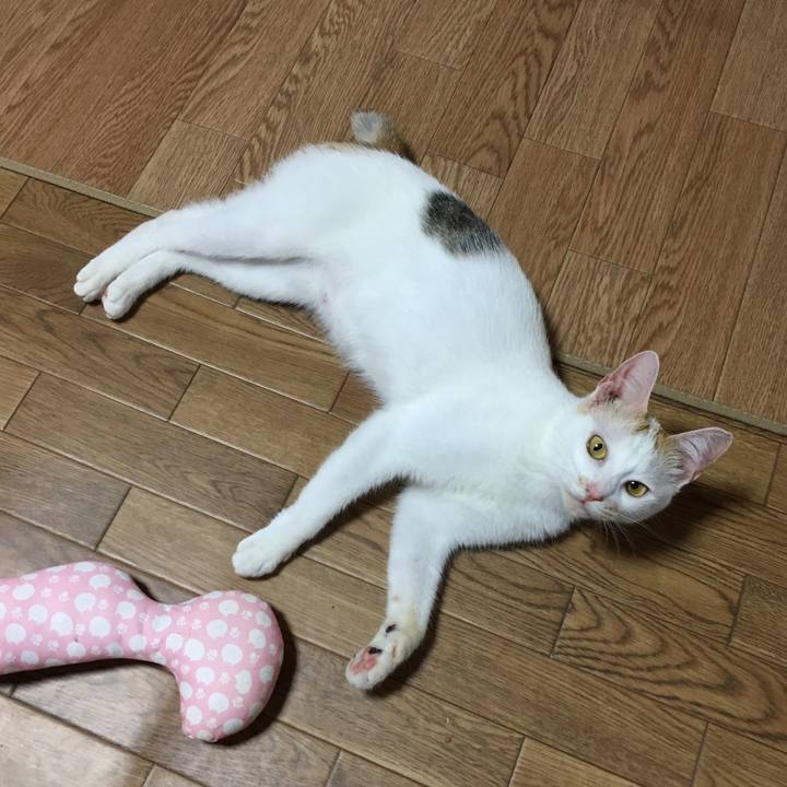 10822b21 baa1 4390 8399 f3eb3b63bb3e