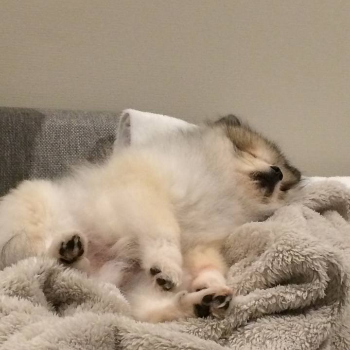 1082325f 0587 41fb 924f 5441b27e54d4