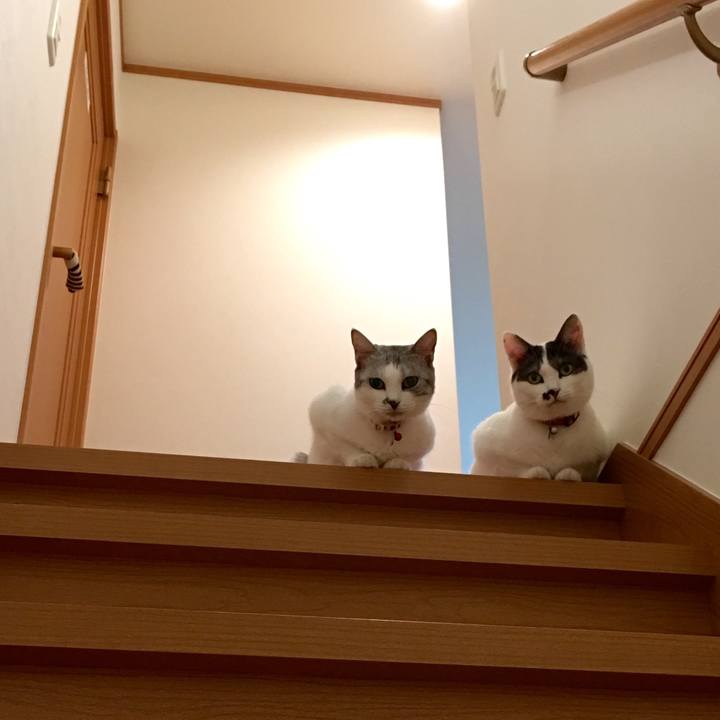 108266c1 a594 44b7 8ebd a2917aa07cf8