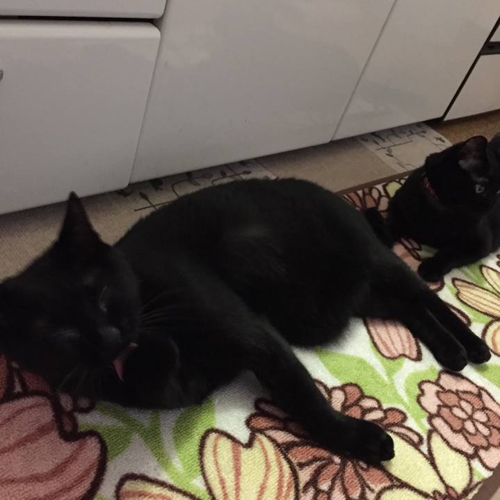 10828586 f69f 42b4 9c45 2fb0d1cbaa10