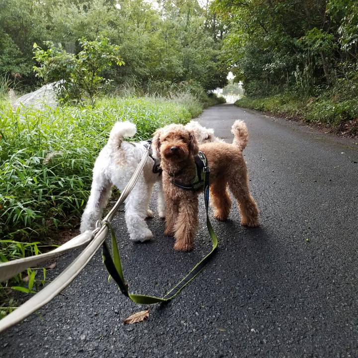 10828854 1003 4239 ad5c 2f946294e223