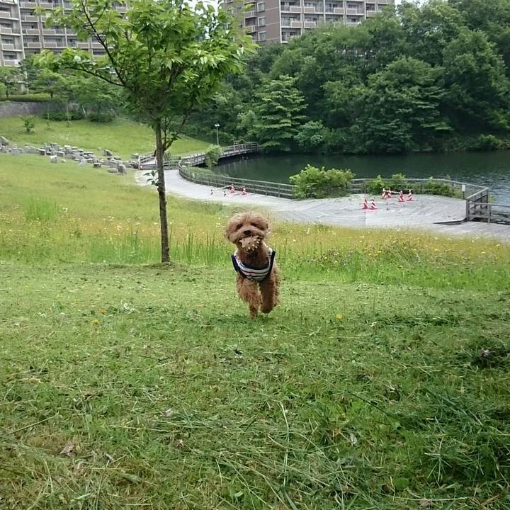 10835583 951e 4101 be6b c4ab47a5c9c7