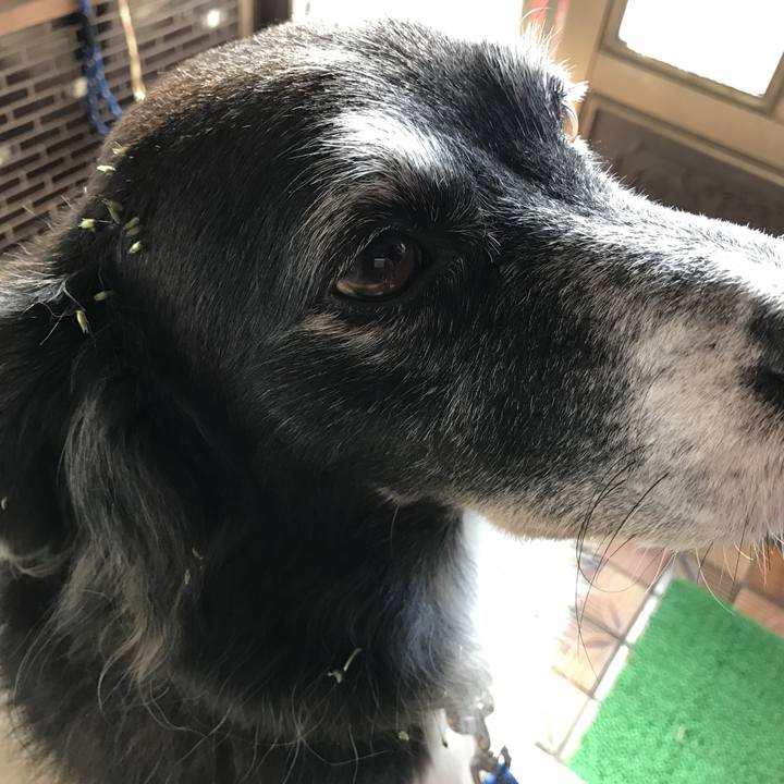 10837ca3 ae15 4e13 b165 9c07e71ec113