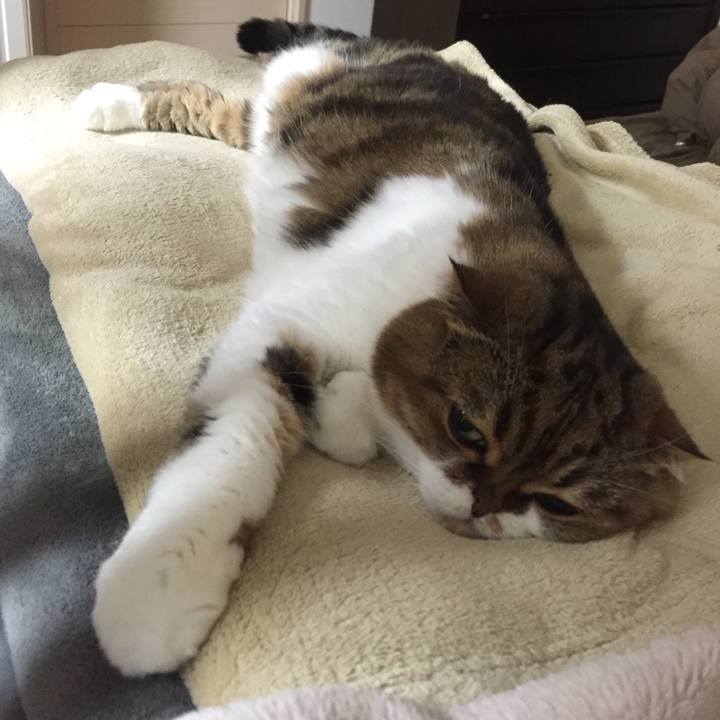 1083db4f 13d9 418e a077 fa4dabaf9b77