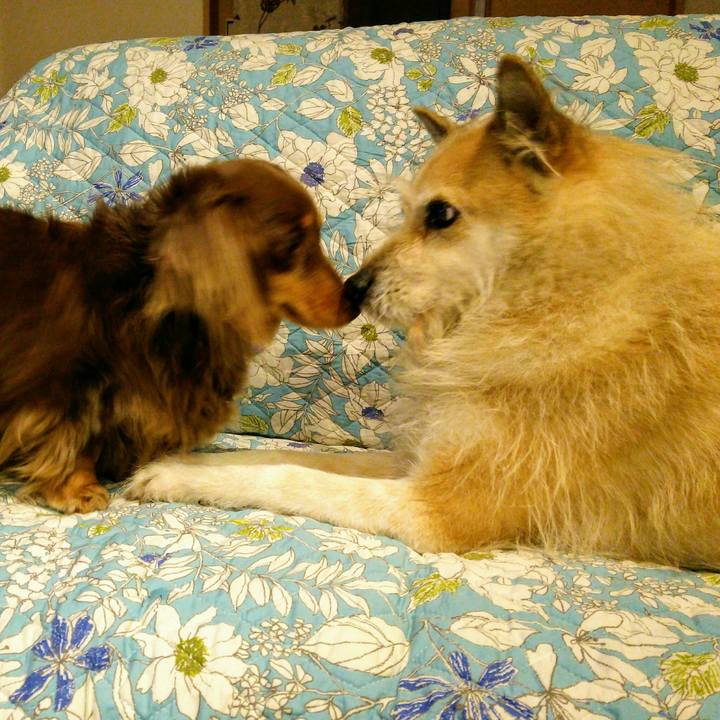 1083ea90 057f 4621 9aee 60a4ebc70c23