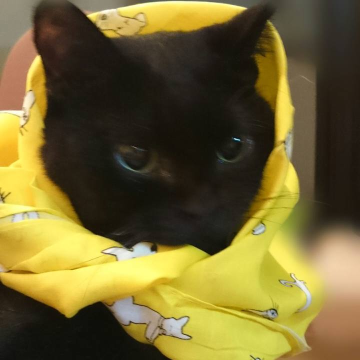 1083ef7d 4041 40ba 987b 7da4c07d138d