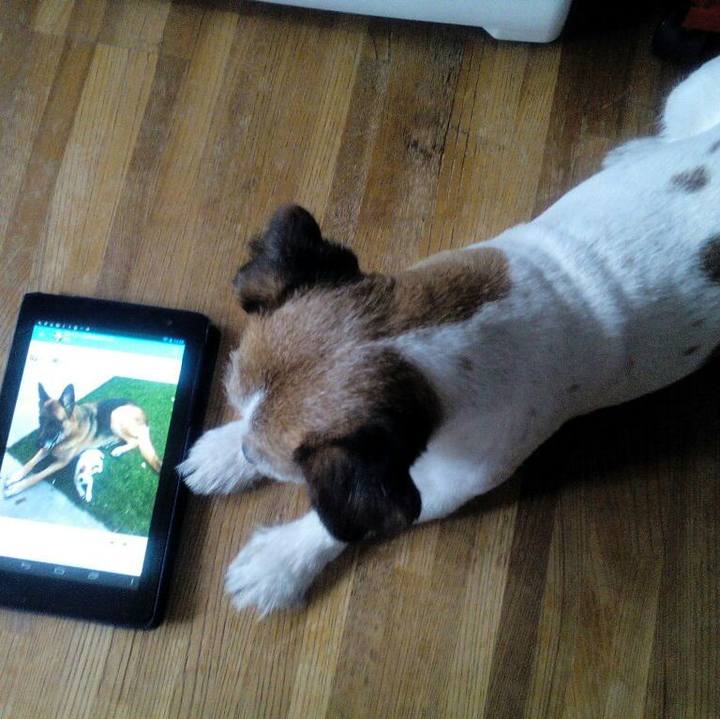 10844273 caae 4c69 b34a 58a0519a42f0