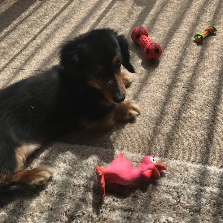 1084bf49 17d9 447e 80f4 3bdbd1531238