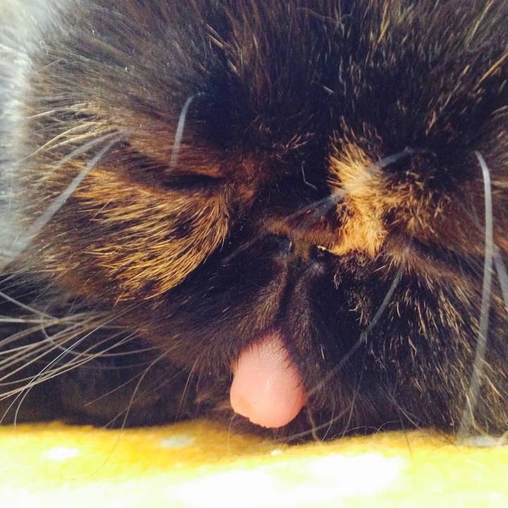 1084f6fc 5234 431b a899 a8d7b31f8e3f