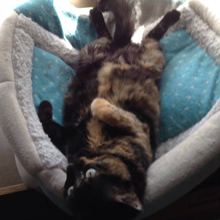 10853221 397e 4e72 b5c9 213f85894993