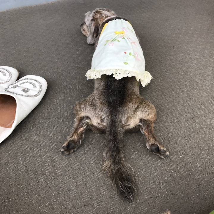 1085c1e5 b015 43ab 95cf 5c3760f377af