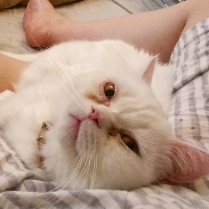 1085e0a2 ab44 4417 a5d2 be3229104b1c