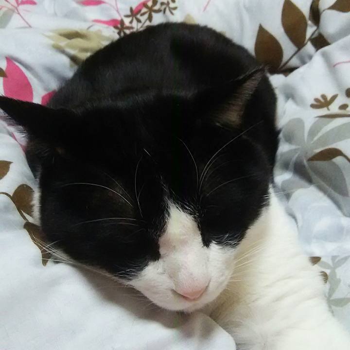 10861dda 1c94 4eca b485 4881db37fb7f