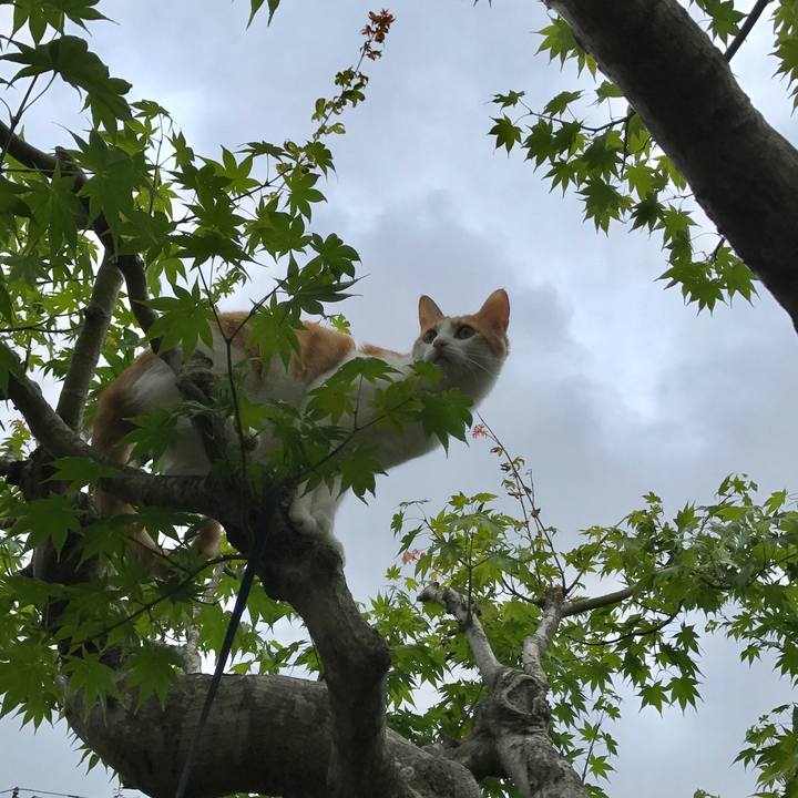 1086388f d520 4833 83d8 f0b3c70a73f6