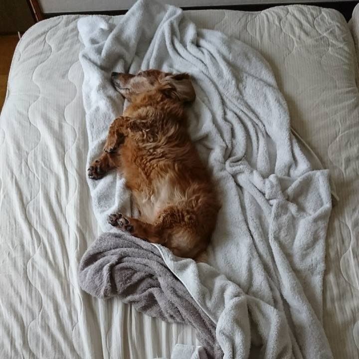 10872139 8989 4e21 a2ea 1b29ce18ed02