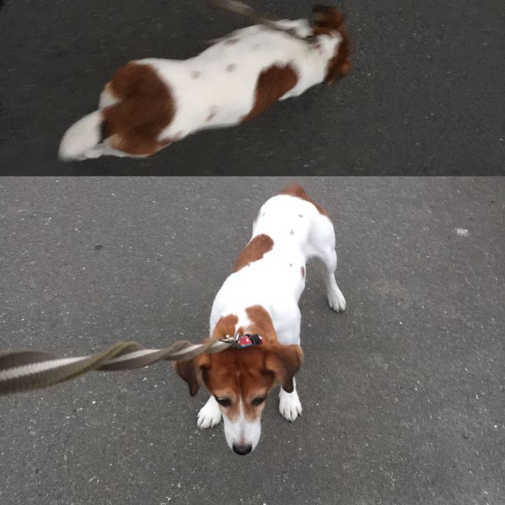 1087ac20 c84d 436f bd9b 00a76f15260a