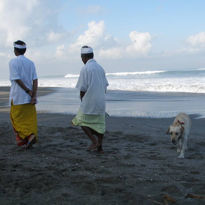 10882657 99c4 406d ac99 b4202177967a