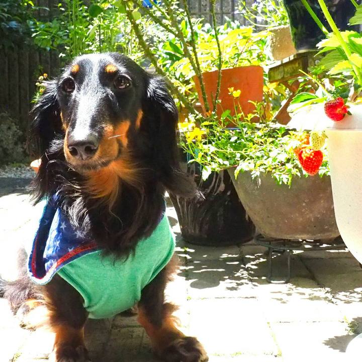 108852b3 5af9 44f9 91d8 8a307e14aee0