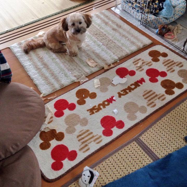 1088be35 852d 4497 84a5 adab7a3b547e