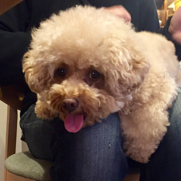 1088c94e defa 4194 bc74 513341a1e505