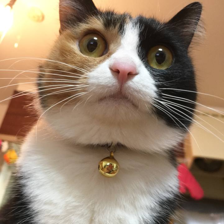 108900f2 1fa2 4522 ac84 7aa08b2b9b68