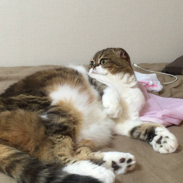 108910da f282 4745 90c2 6e9ab6a22896