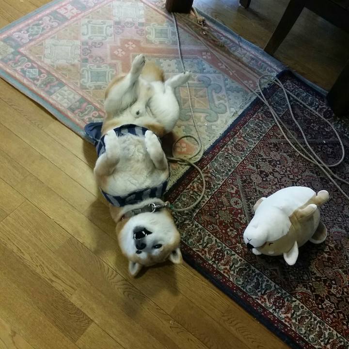 1089ddd1 80b6 48f5 81d3 e21d2b4ed5ad