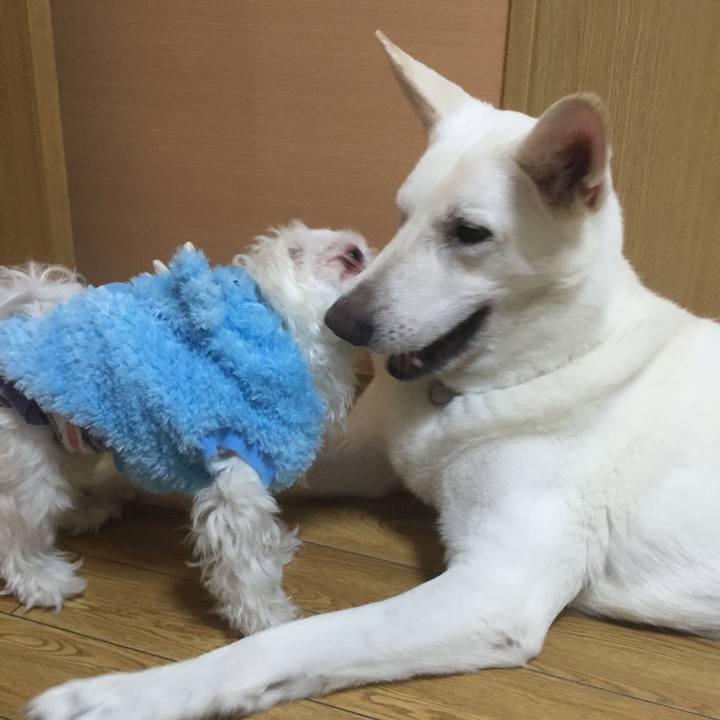 1089f355 f31f 4f13 9646 ae67f887da8d