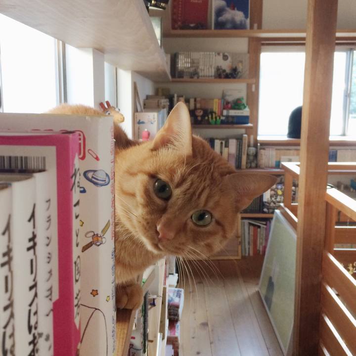 108a09f1 e3ac 4814 9dfd 23034e1b094f